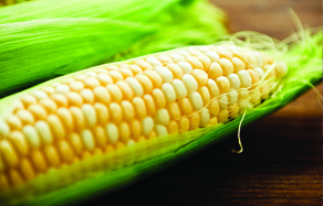 9 best summer vegetables to plant for a summer harvest in Australia