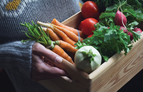 Best winter vegetables and herbs to plant by climatic zone Australia
