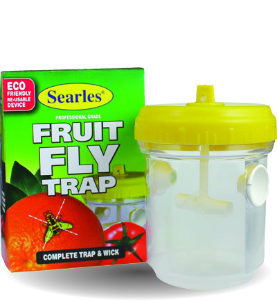 Fruit Fly Traps Tomato pests and diseases