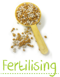 Garden - How to Grow - Fertilising Plants