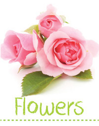 Searles Garden - Growing Flowers and Ornamentals