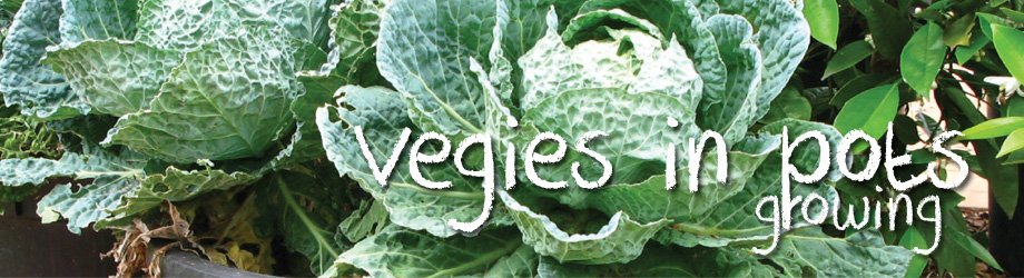 Garden - How to Grow - Growing Veggies in Pots