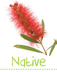 Searles Garden - Native Planting and Gardening