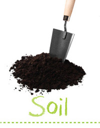 Searles Garden - Garden Soil Care