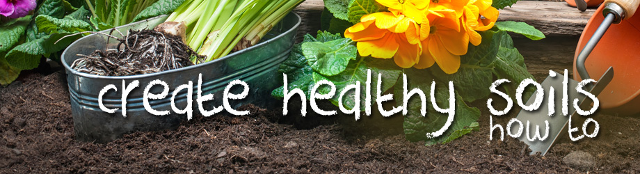 Garden - How to create healthy soils in garden - making healthy soil