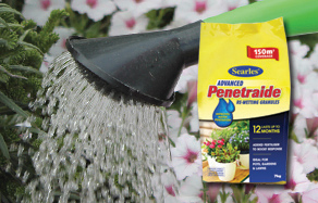 How does re wetting granules work? - Prevent soil dry out
