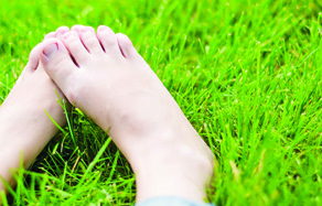 How to Grow - lawn fertilising and watering care