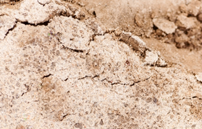 How to control and treat - dry soils