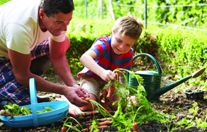 How to grow - creating healthy soils garden
