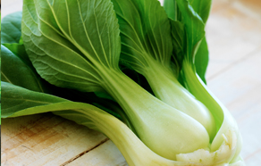 How to grow and plant pak choi