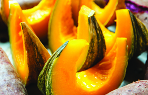 Garden - How to Grow - Growing and planting pumpkin