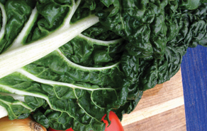 How to grow and plant spinach