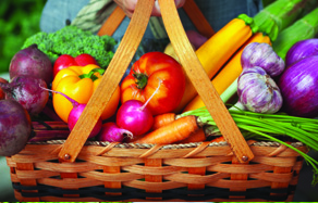 How to grow - growing organic vegetables in pots