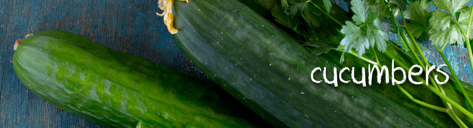 How to grow cucumbers - planting and growing cucumbers in Australia
