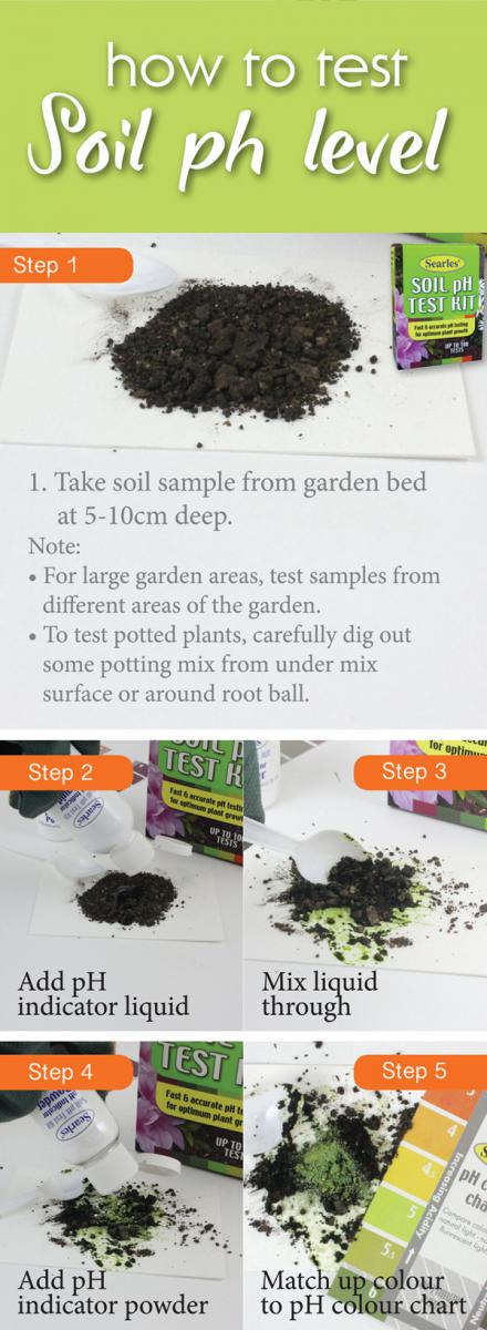 How to test the soil pH level in garden soil - Soil pH test kit