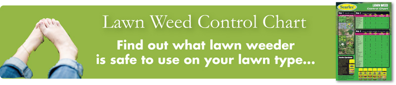 Lawn Weed control chart - what lawn weeder to use on my lawn type