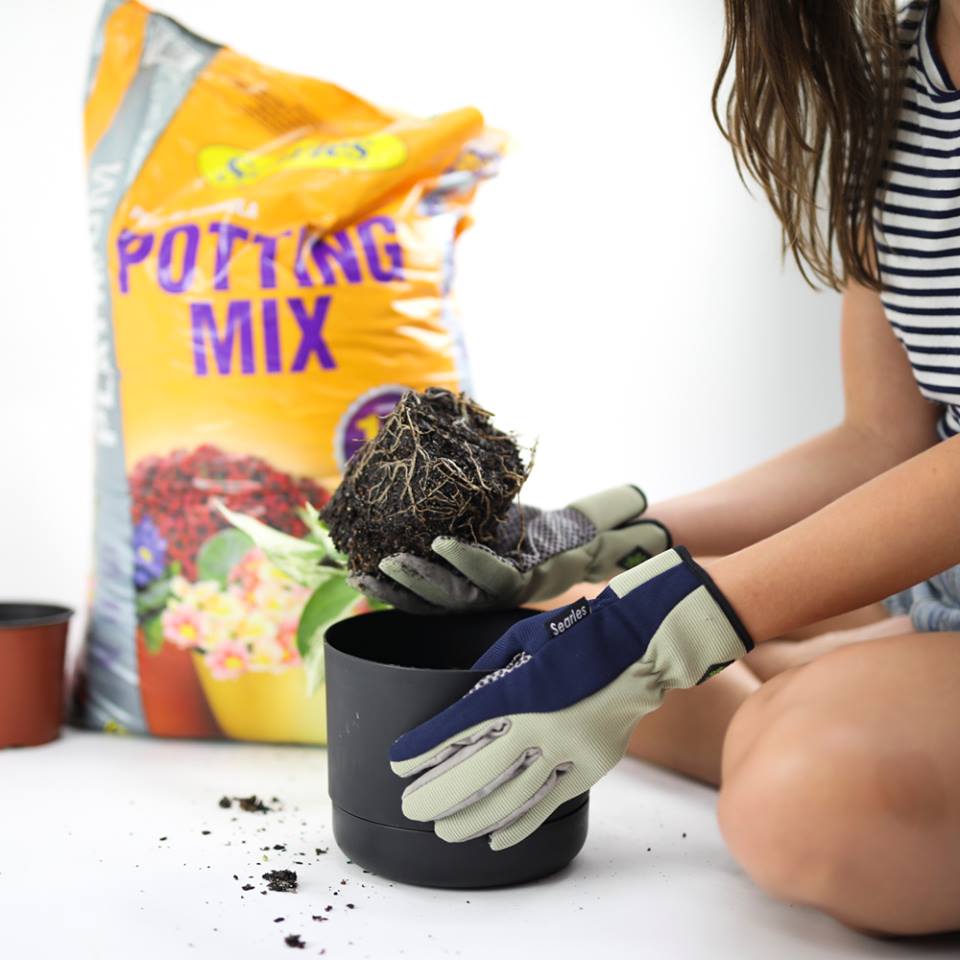 Platinum Premium Potting Mix - potting mix with fertiliser for pot plants