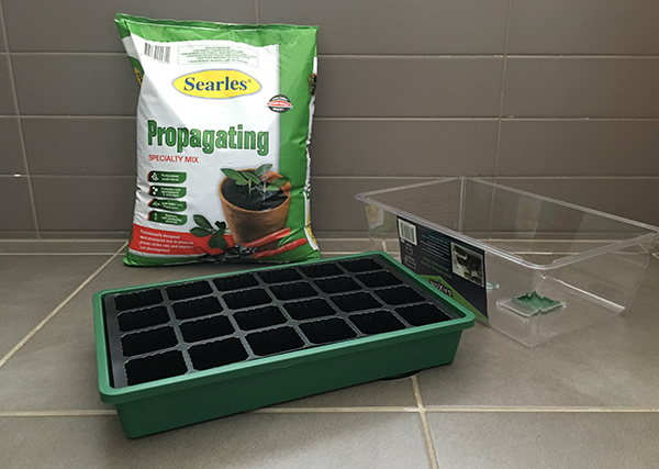 Propagating mix and propagating tray