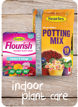 Indoor plant care products - Indoor plant potting mix and fertiliser