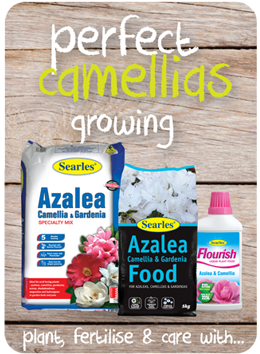 Searles Garden Products - Soil mix fertiliser plant food for growing camellias