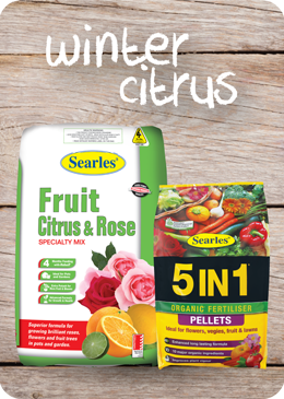 Searles Garden Products - Soil mix fertiliser plant food for growing citrus in winter