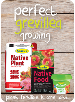 Searles Garden Products - Soil mix fertiliser plant food for growing grevillea