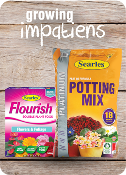Searles Garden Products - Soil mix fertiliser plant food for growing impatiens