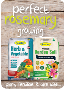 Searles Garden Products - Soil mix fertiliser plant food for growing rosemary