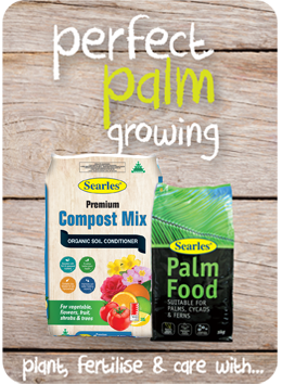 Searles Garden Products - Soil mix fertiliser plant food for growing tree palm