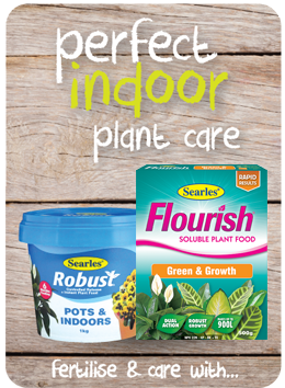 Searles Garden Products - Soil mix fertiliser plant food for indoor plant watering and care Searles Garden Products - Soil mix fertiliser plant food for indoor plant watering and care
