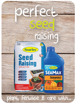 Searles Garden Products - Soil mix fertiliser plant food for seed raising - planting seeds