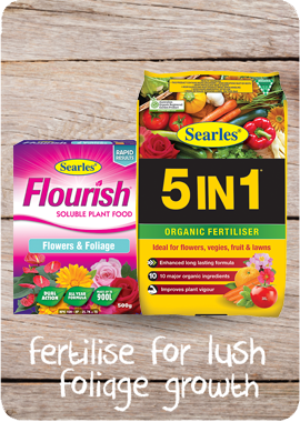 Searles Garden Products - best fertiliser for foliage plants