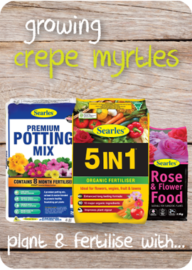 Searles Garden Products - planting mix and fertiliser for growing crepe myrtles