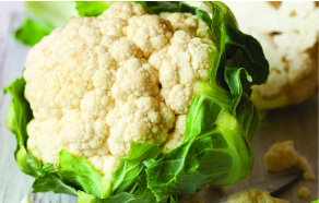 Searles Garden how to grow planting Cauliflower