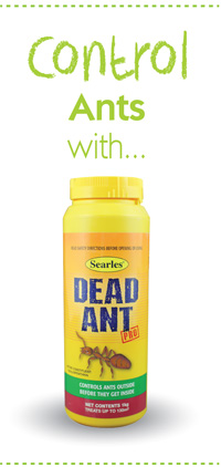 Searles Gardening Problem Solver Controlling Ants