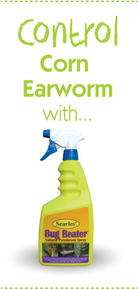 Searles Gardening Problem Solver Controlling Corn Earworm