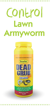 Searles Gardening Problem Solver Controlling Lawn Armyworm