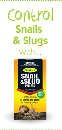 Searles Gardening Problem Solver Controlling Snail and Slugs