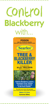 Searles Gardening Problem Solver control Blackberry treatment