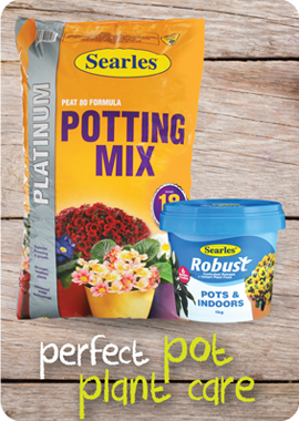 Searles Garden Products - Soil mix fertiliser plant food for pot plant care and maintainence Searles Garden Products - Soil mix fertiliser plant food for pot plant care and maintainence