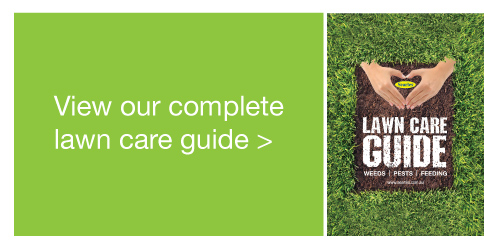Searles Complete lawn care guide - Complete lawn care information for Australian lawn care