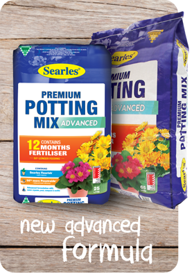 Searles Premium Advanced Potting Mix - Premium Quality Potting Mix - Available at Bunnings