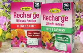 Searles Recharge Ultimate Plant Fertiliser for pots, gardens, flowers and fruit