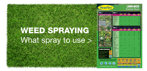 Searles Weed spraying lawn chart - What spray to use for lawn weeds