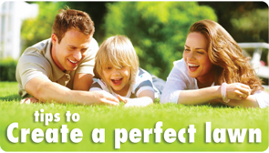 Tips to create a perfect lawns - lawn care
