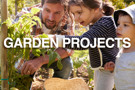 Popular garden projects