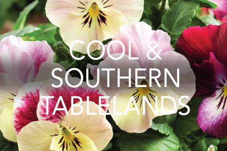 Grow Now - Cool & Southern Tablelands region
