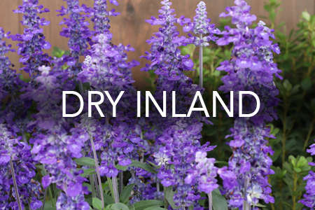 Grow Now - Dry Inland region