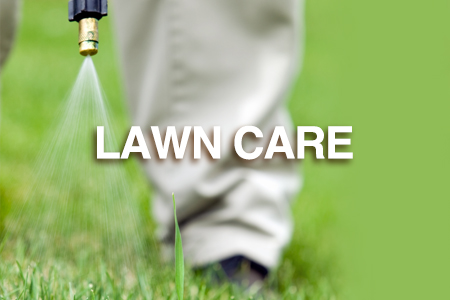 Lawn weed control solutions