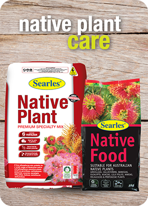 Searles Garden Products - Soil mix fertiliser plant food for growing grevillea Searles Garden Products - Soil mix fertiliser plant food for growing grevillea